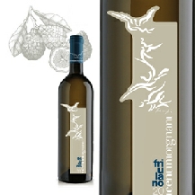 Friulano