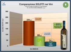 Solfiti PG2015_ITA.jpg